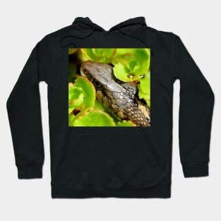 Garter Snake Hoodie